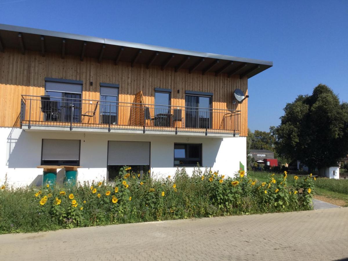 Ferienwohnungen "Blumenwiese" 딜링겐안더도나우 외부 사진