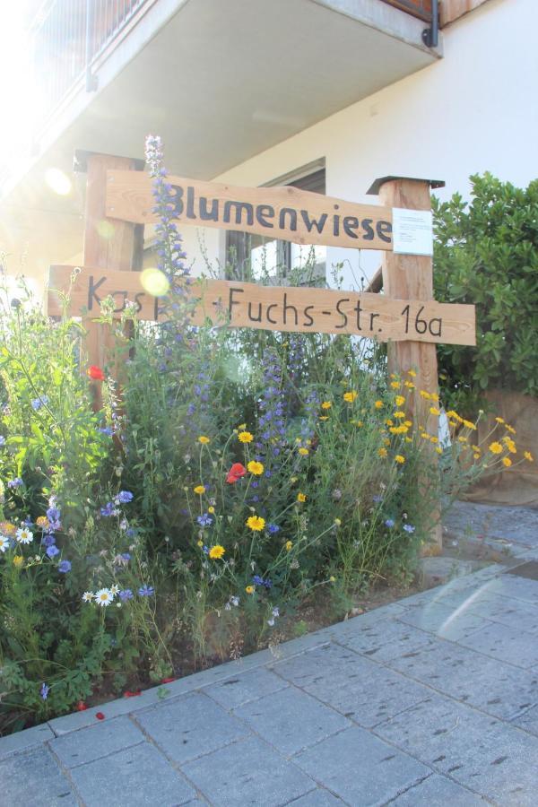 Ferienwohnungen "Blumenwiese" 딜링겐안더도나우 외부 사진